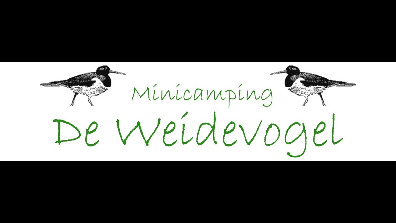 SVR camping De Weide vogel