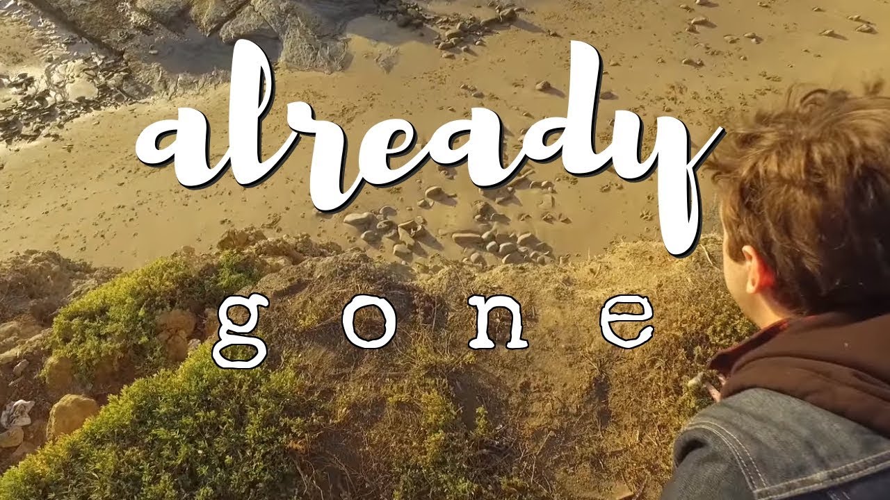 shane x ryan || already gone