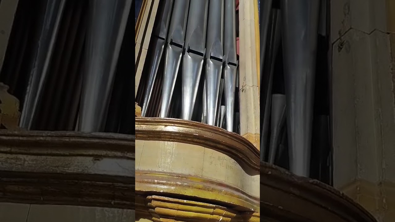 Ave Maria di Gounod, soprano Giuliana Consiglio, organo Gianluca Furnari, P. Armerina, Luglio 2024