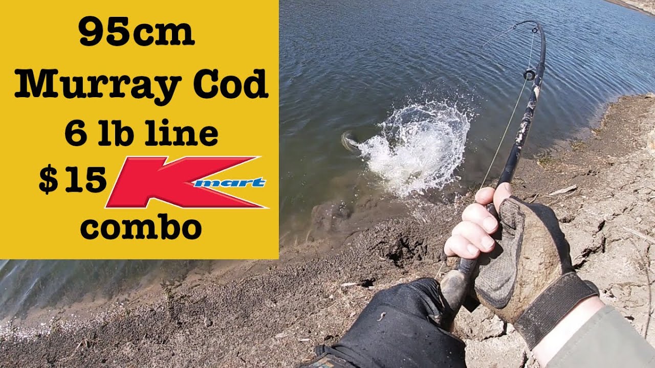Huge Murray Cod landed on $15 Kmart Jarvis Walker Focus telescopic combo, 6 lb line