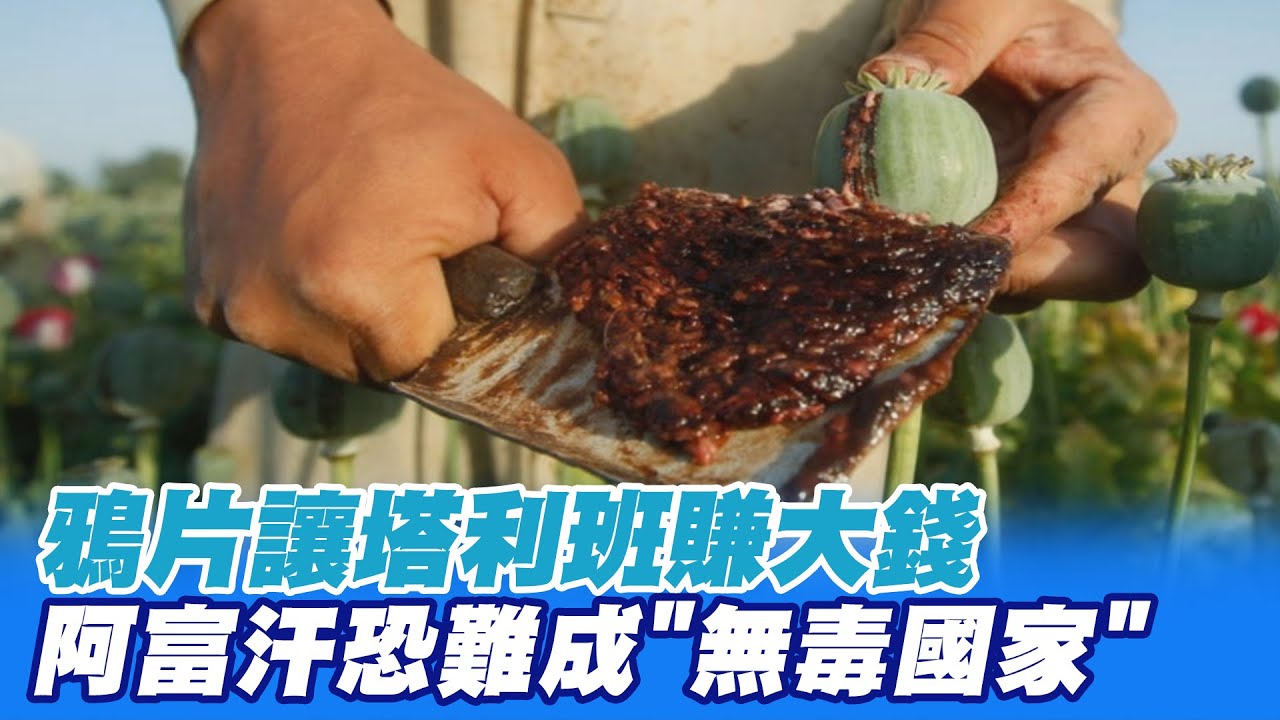 【每日必看】鴉片讓塔利班賺大錢! 阿富汗恐難成
