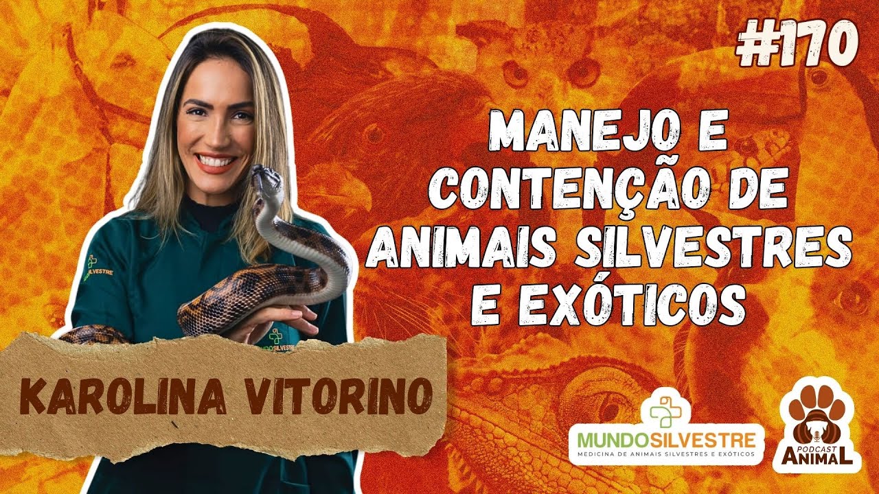 Manejo e Contenção de Animais Silvestres e Exóticos com Karolina Vitorino (ep 170 temp 2)