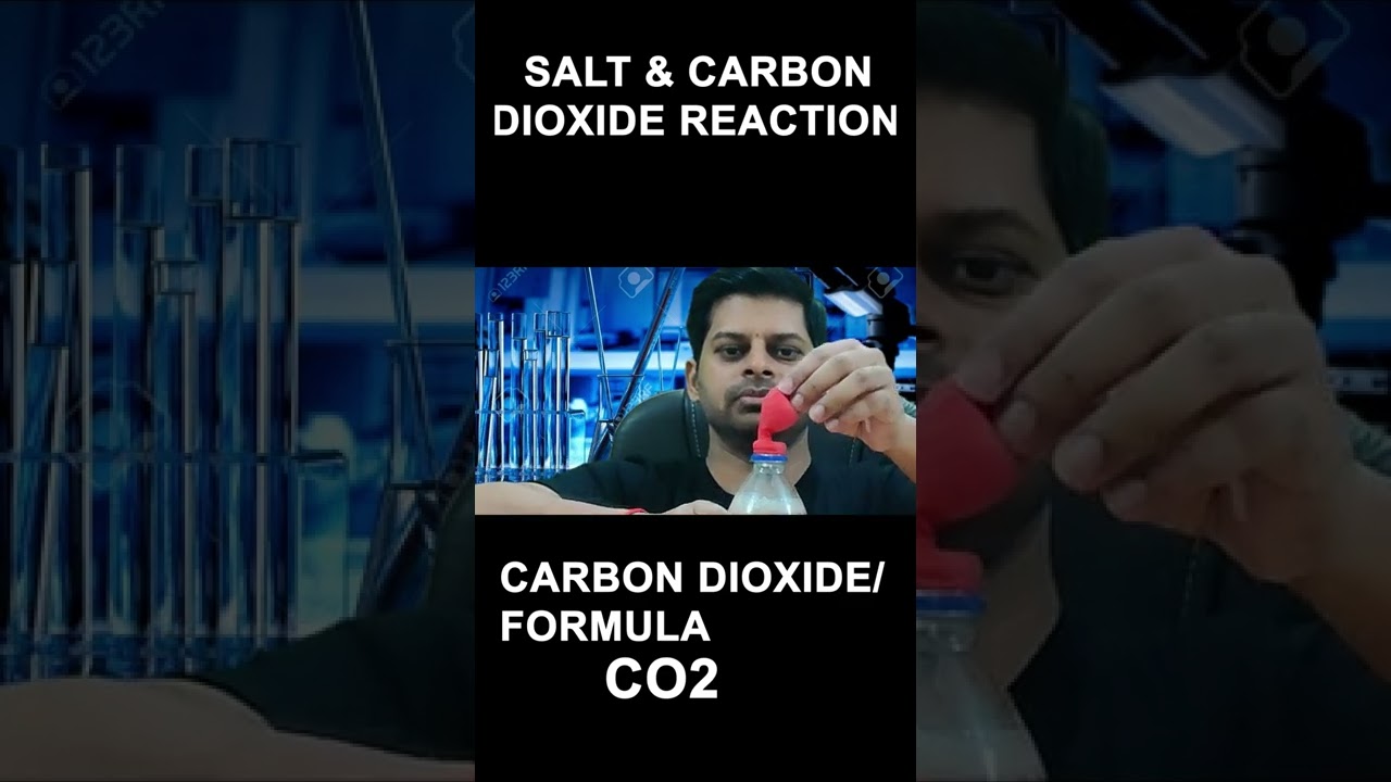 SALT & CARBON DIOXIDE REACTION || TestprepKart