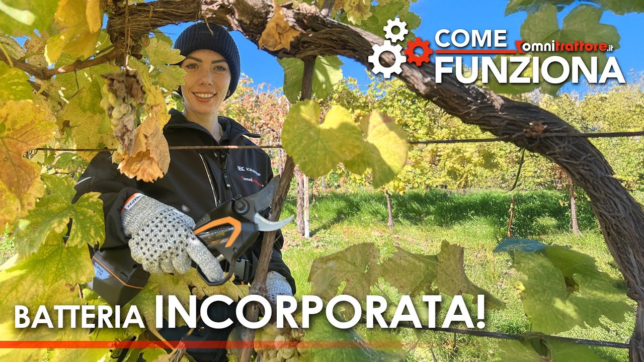 Forbice PELLENC C3X (batteria INTEGRATA): COME FUNZIONA (by GIULIA Tonello)