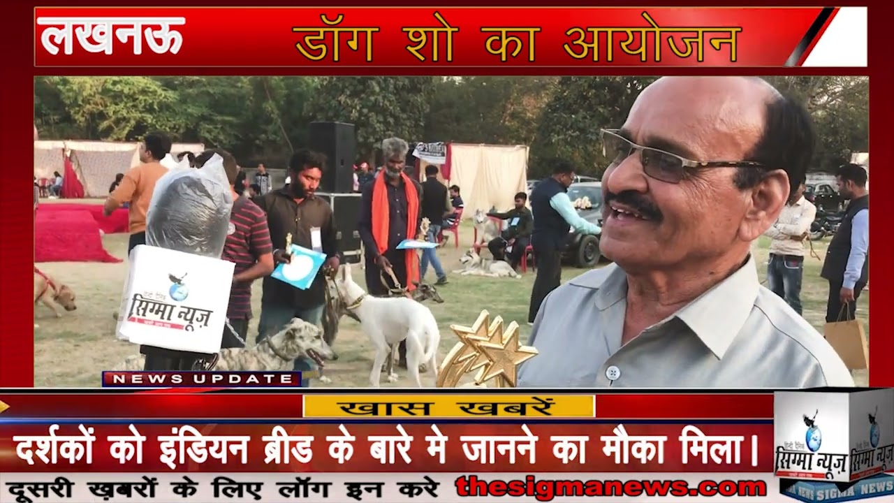 Dog Show ।Omg first time Indian dog।Rampur Hound।Tazi Hound।Sigma News।