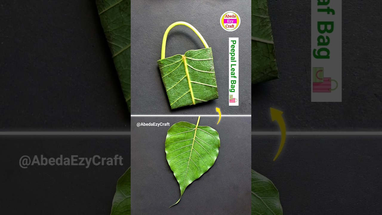 How to make peepal leaf bag | Mango leaf craft #shorts #diy #craft #leafart