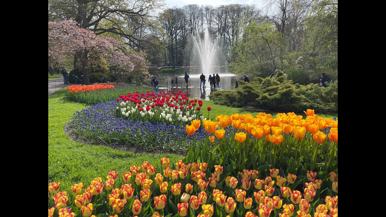 Olanda in primavera