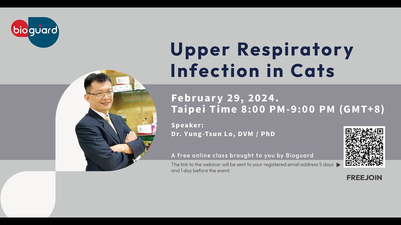 Upper Respiratory Infection in Cats