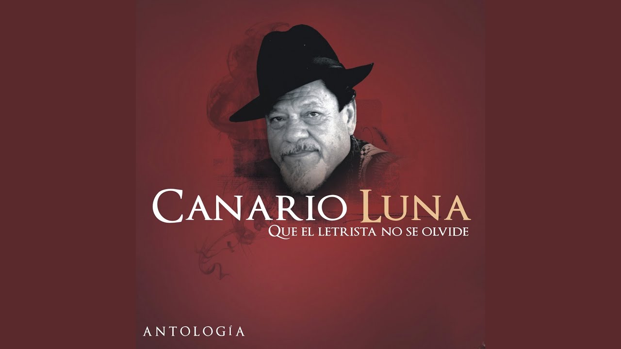 Vuelvo