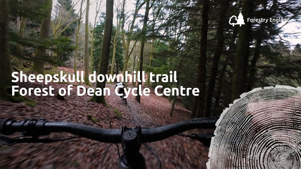 Sheepskull | black downhill mountain bike trail PoV | Forest of Dean cycle centre cycle