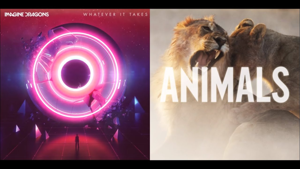 Whatever Animals Take (mashup) - Imagine Dragons + Maroon 5