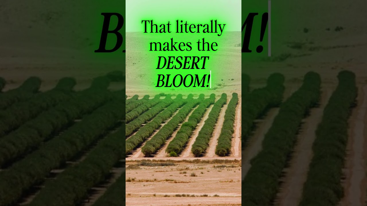 How ISRAEL Made the DESERT GREEN 🌱