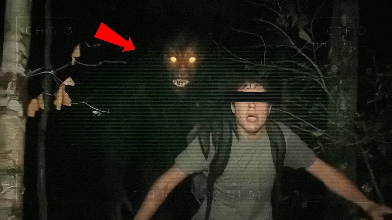 Unexplained Unsolved Mysteries: Forest Trail Encounters