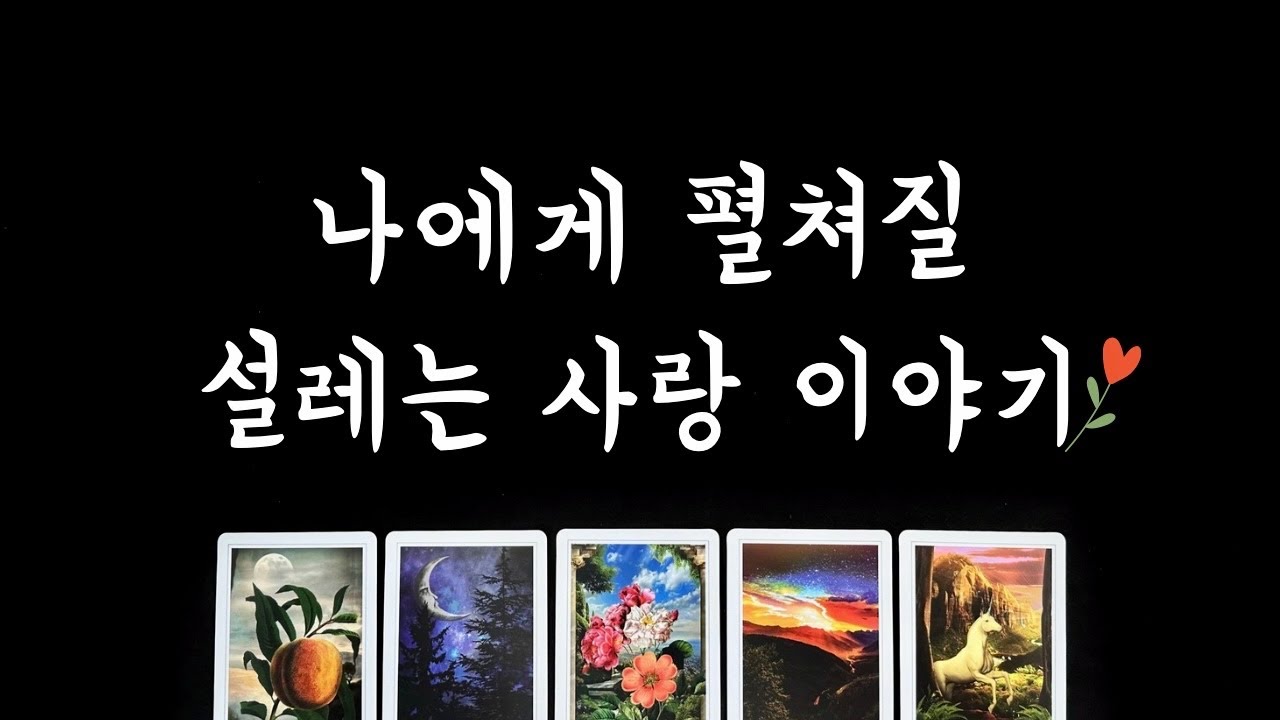 [타로] 나의 연애운의 흐름💕 솔로연애운