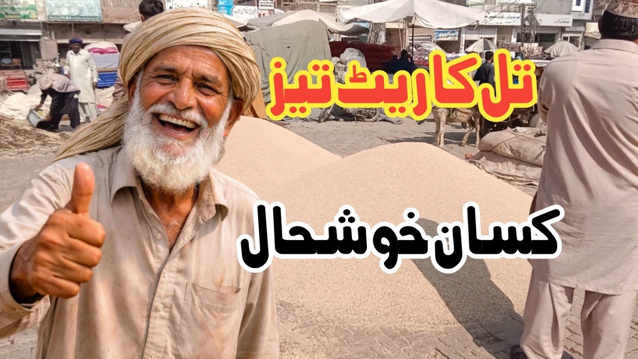 Shocking Sesame Price Today! | Til Rate Skyrocketing in Pakistan