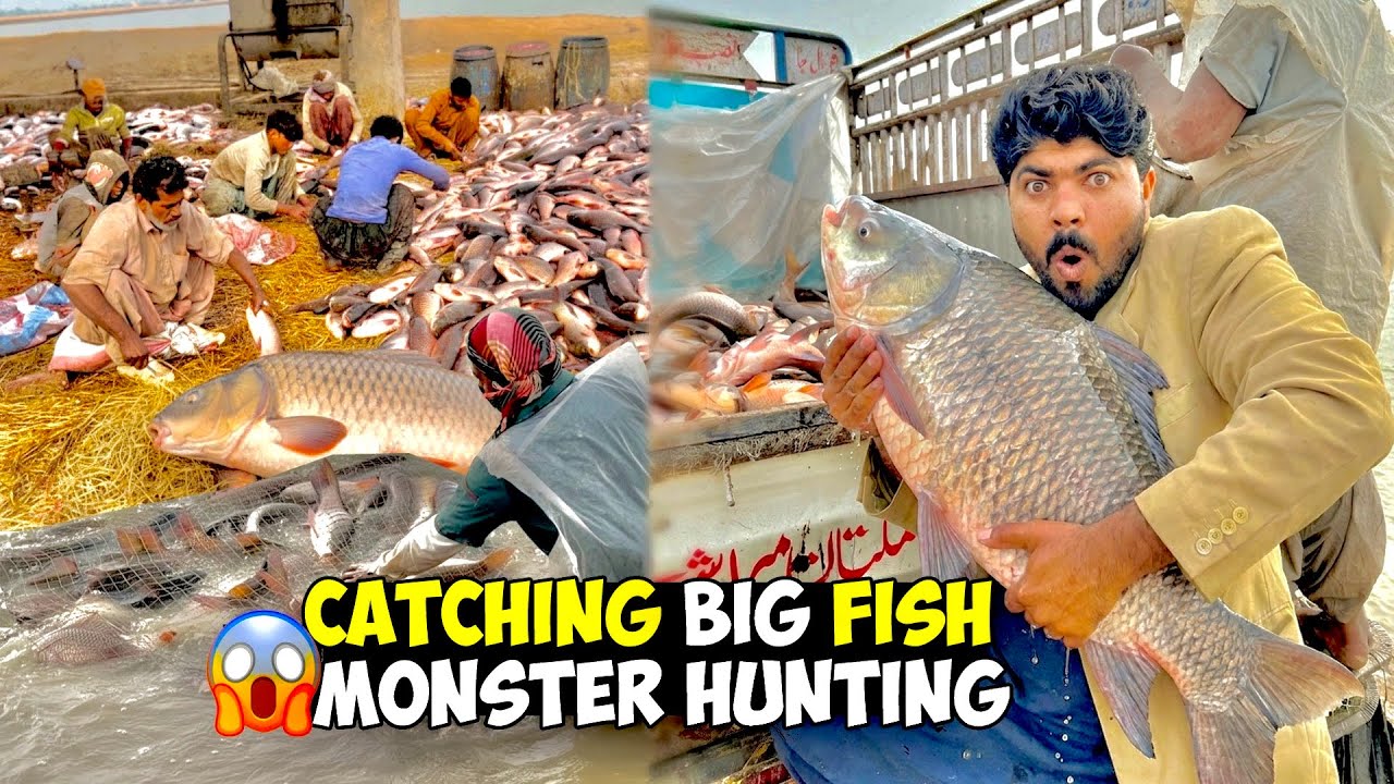 Catching Big Fish | Traditional Boy Hunting Big Fish In The Sea | Giant Big Fish Tank Making Video