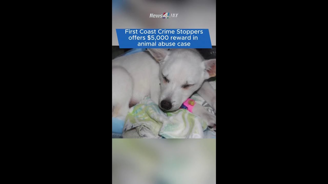 Организация Crime Stoppers предлагает вознаграждение в размере 5000 долларов за арест несовершенн...