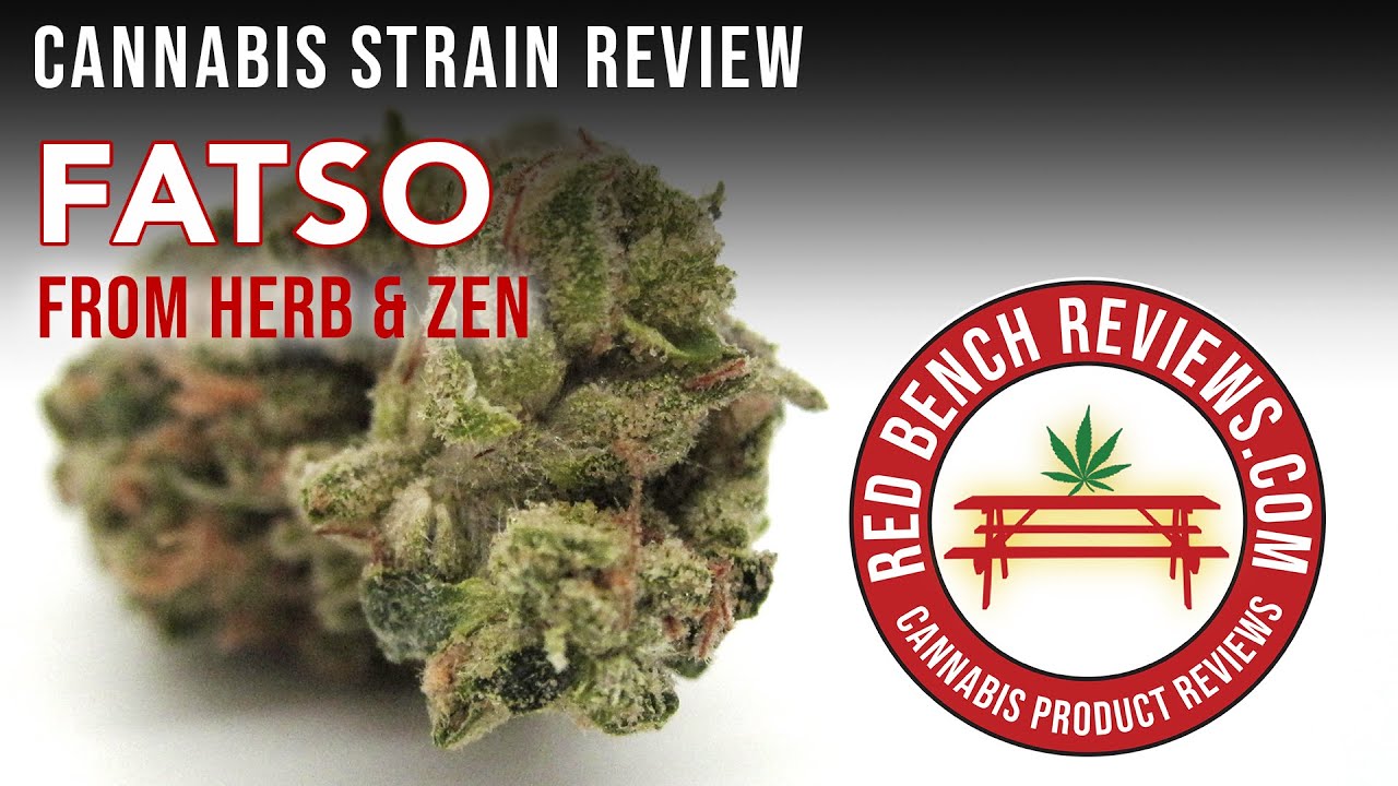 Herb and Zen | Fatso Strain Review | 36.01% THC!