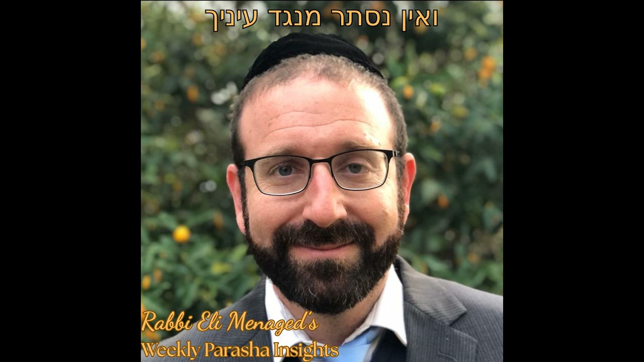 Shelach 5781 - Techelet: Slavery Vs Royalty (Tekhelet Series)