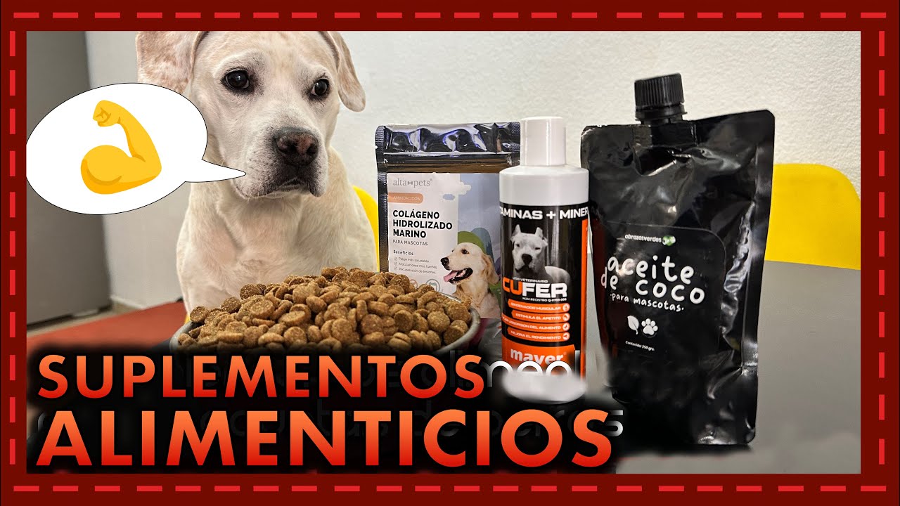 Potencia la Salud de tu Perro | Complementos Alimenticios para sus Croquetas 🐶💪🥦 
