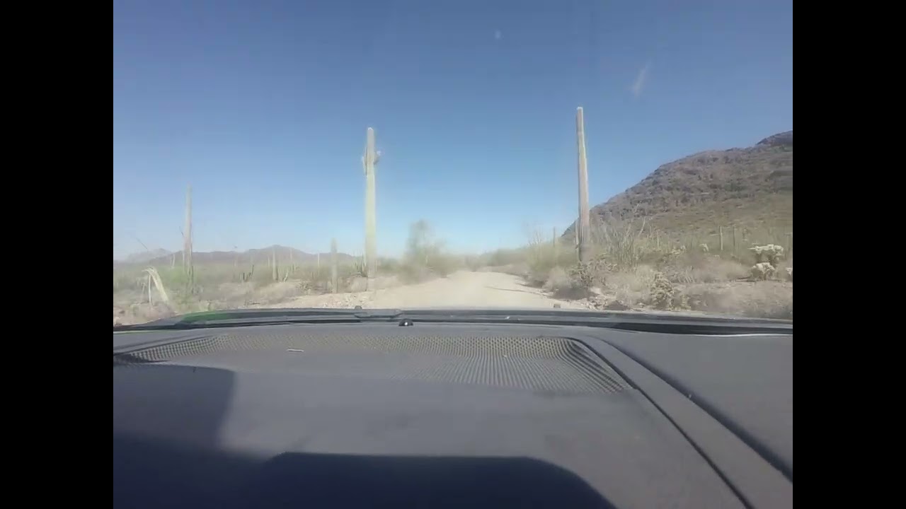 Molcia jedzie do Las Cactusos cddddd