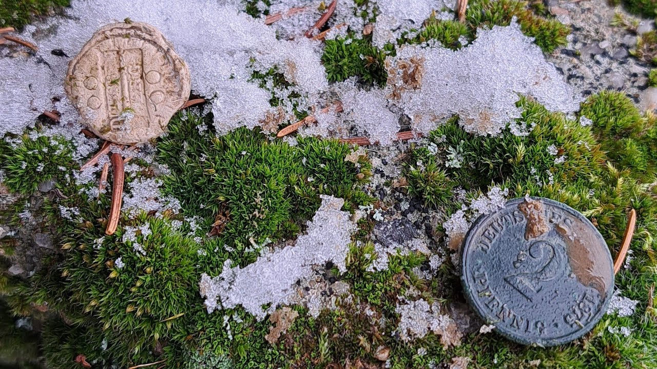 Münzreiche Schneerunde bei -2 Grad auf dem Acker und merkwürdig glänzenden Stein 🤔