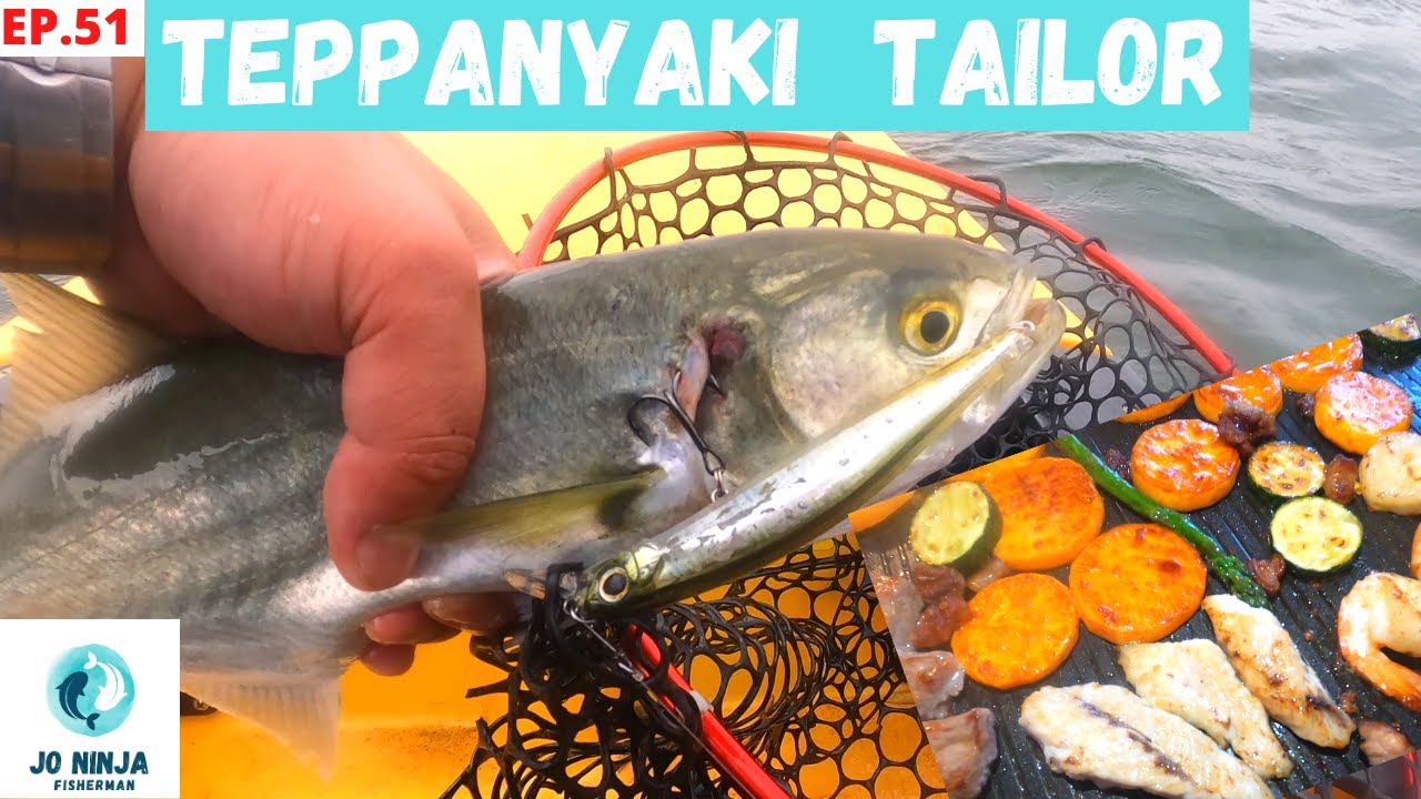 Teppanyaki Tailor. One Fish One Dish Ettalong Japanese Fish Gobble. Episode 51