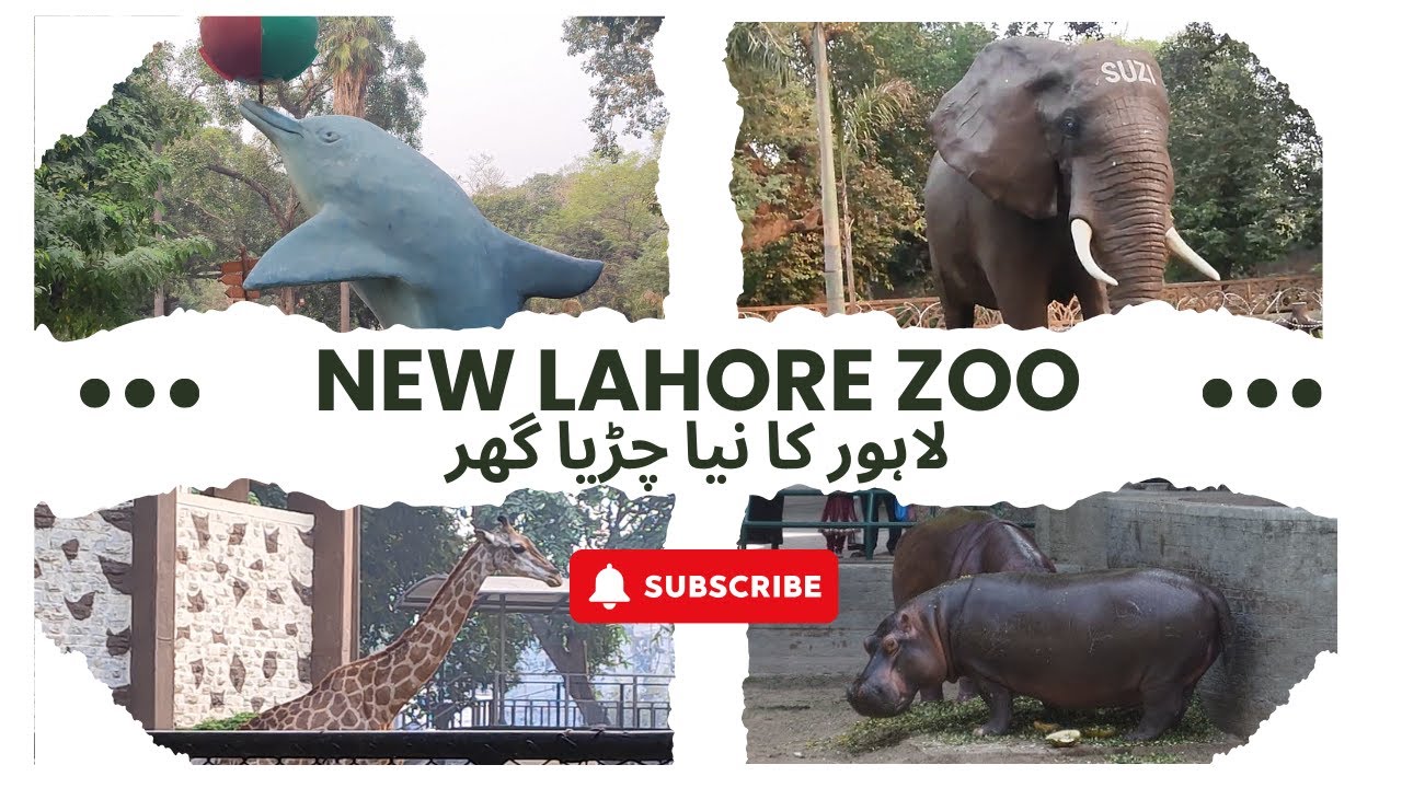 A Day at Lahore Zoo: Perfect Spot for Family Fun!