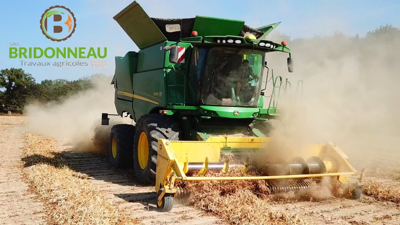 Moisson de Haricot Blanc dans la Poussière par la SAS BRIDONNEAU