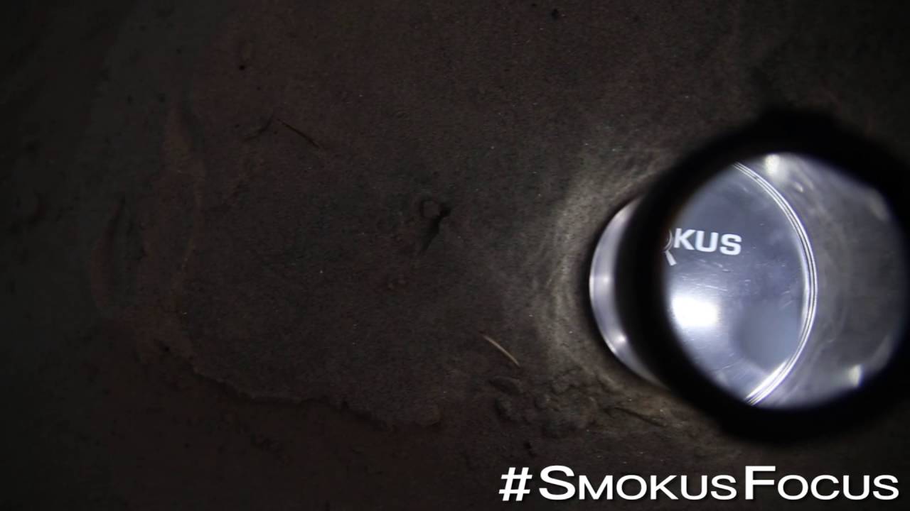 Smokus Focus
