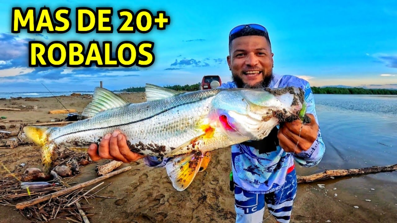 PICADA BRUTAL de ROBALOS en la ORILLA - Pesca en Puerto Rico