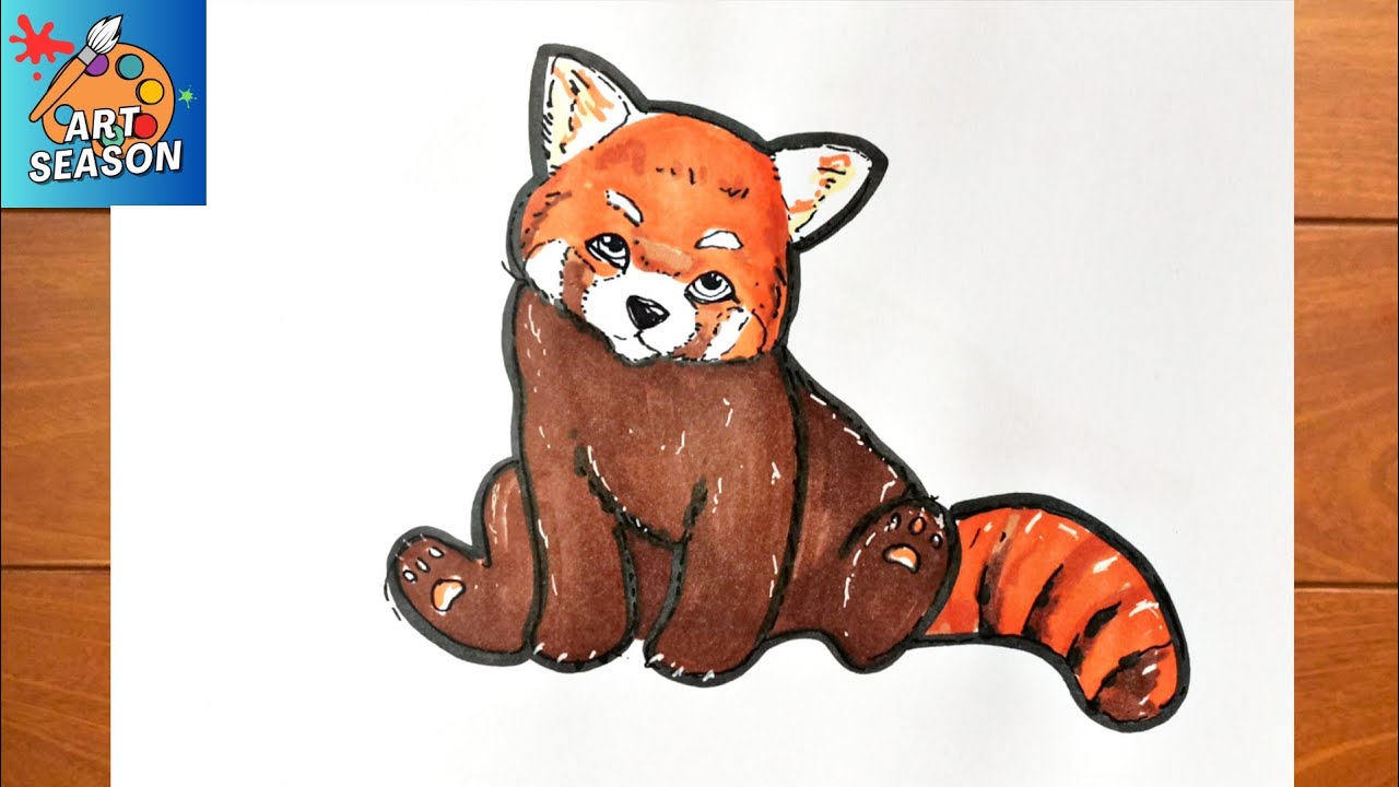 How to Draw a Red Panda