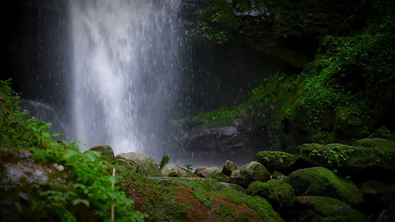 Relaxing Waterfall Sounds 🌿 Perfect Calm Sunday Morning Ambience