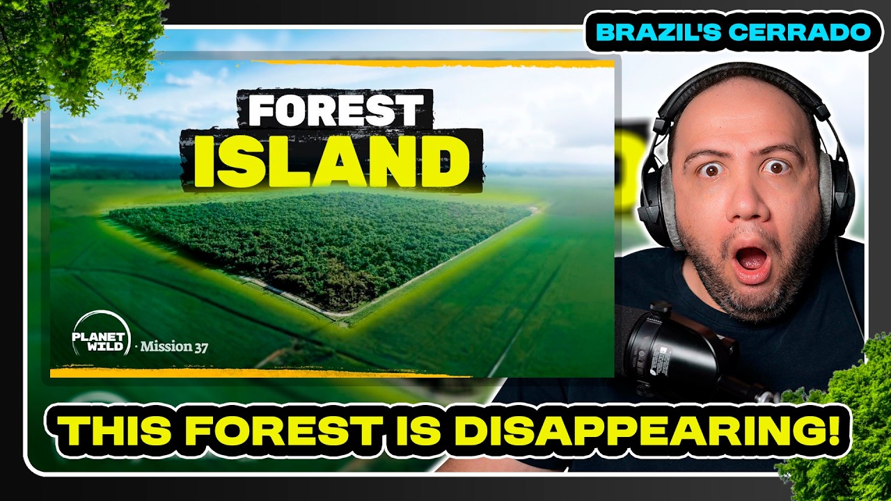 Мы строим ГИГАНТСКИЙ природный коридор в Бразилии! РЕАКЦИЯ УЧИТЕЛЯ ПОЛА 🇧🇷