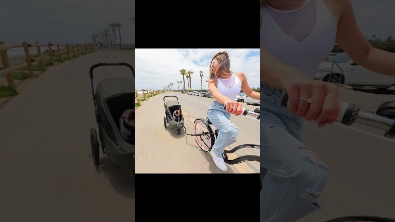 Bike More for Clean Air! Best Pet Stroller: Petique Breeze Pet Jogger 😍 #dogmom #healthylifestyle