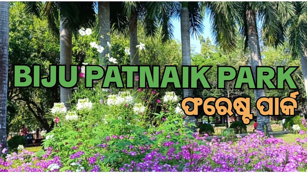 Forest Park#bijuPatnaikpark#bhubaneswarbestpark#park#beautiful nature#bhubaneswar park