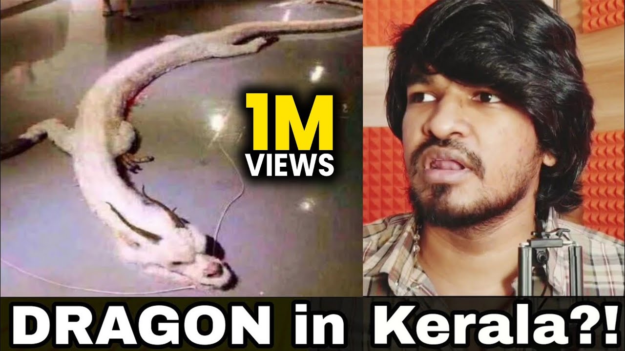 10 Crore Years Old Dragon Fish Found in Kerala?! | Tamil | Madan Gowri | MG
