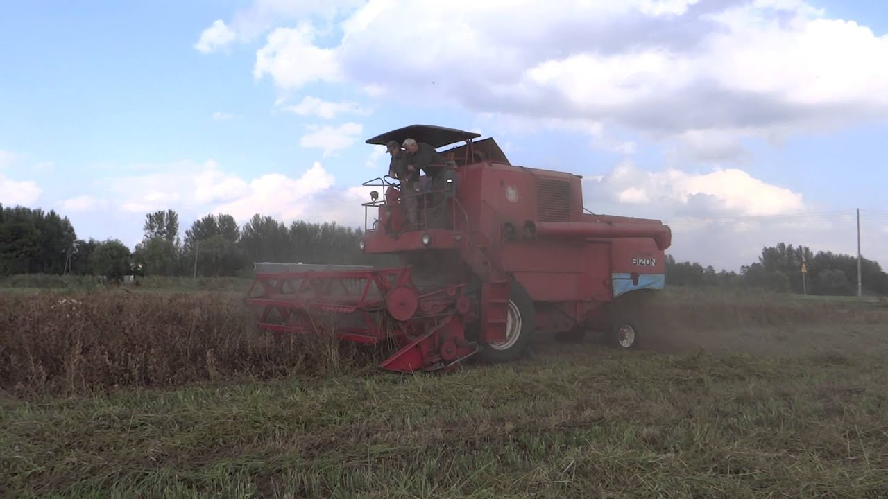 Bizon Super Z056 i koszenie lucerny