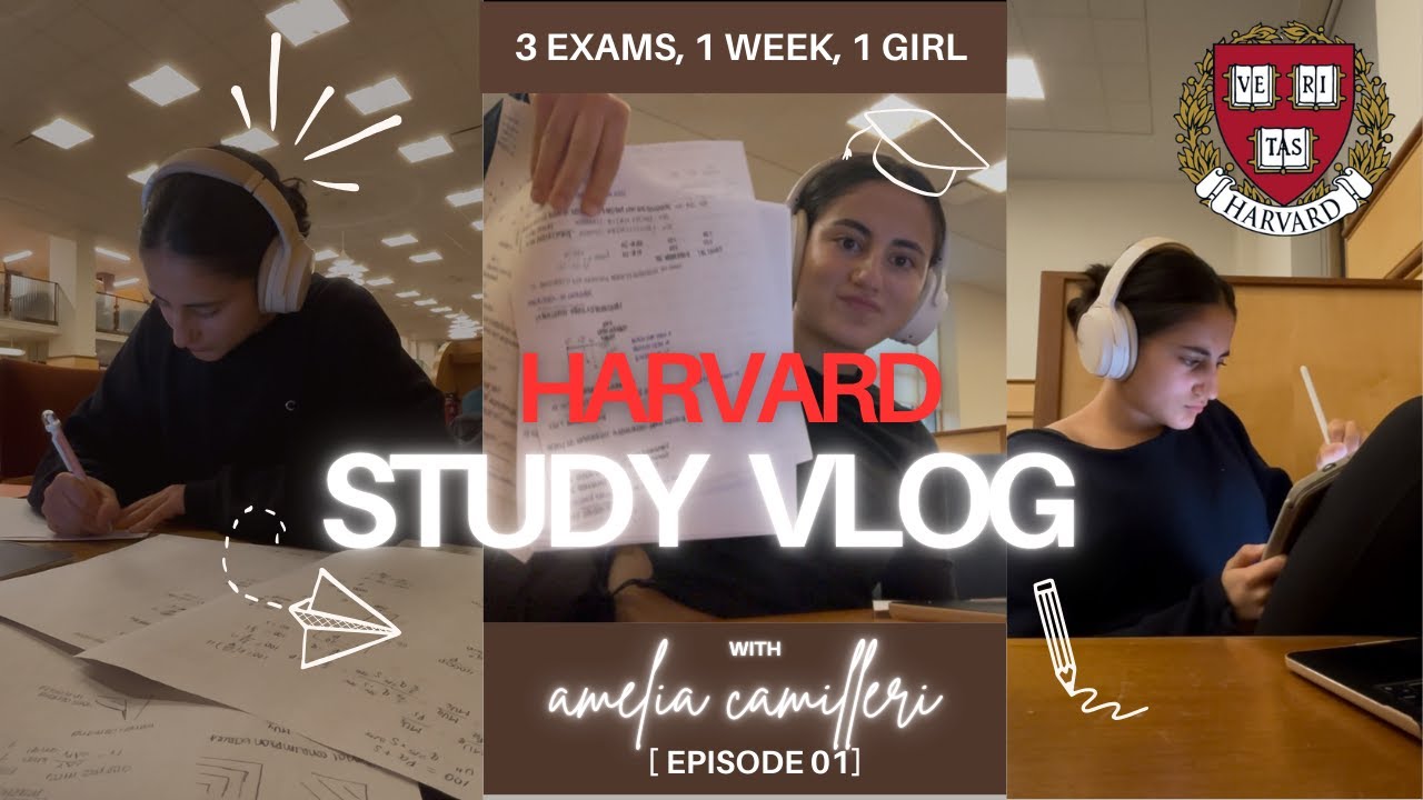 brutally realistic study vlog @ harvard 📝┃try not to cry challenge