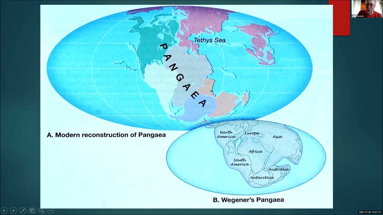 Tectonics
