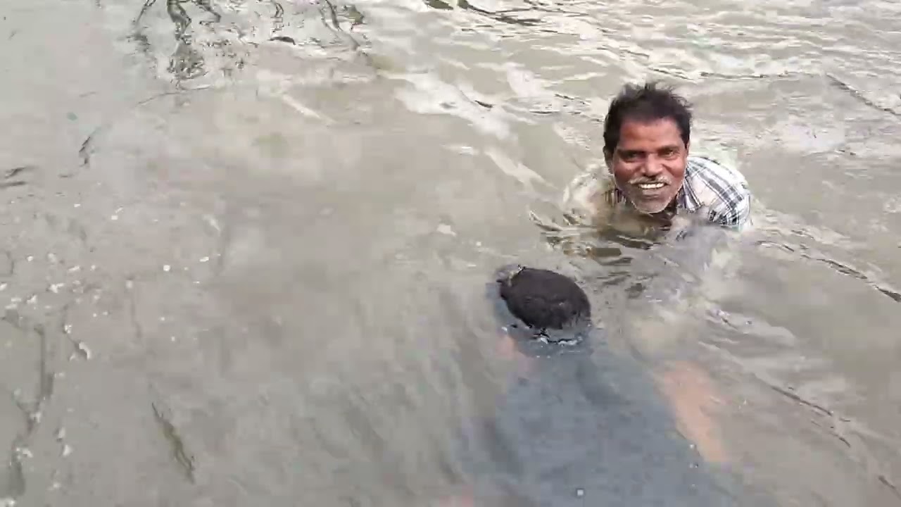 रत्नागिरी खेड चिंचघर दस्तुरी येथील माझ्या गावाच्या नदीत खेकडे पकडताना ची मजा 💕✨🥰😍😇🌊