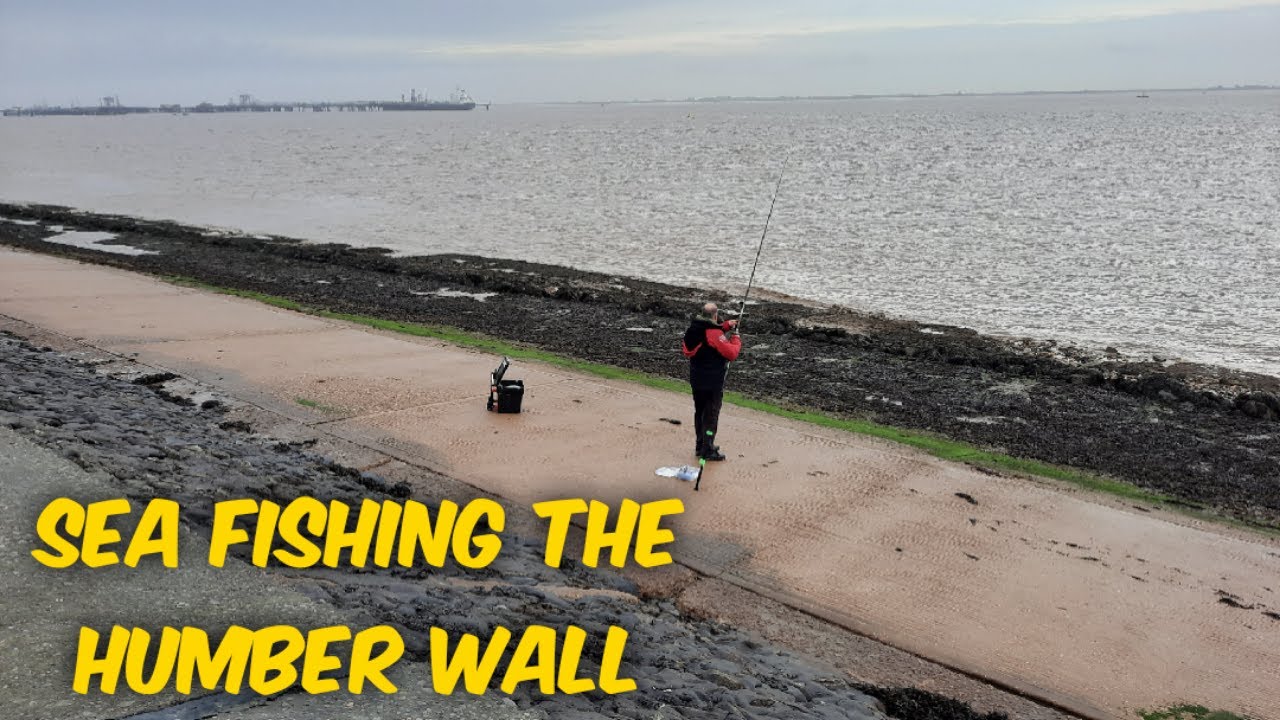 Sea Fishing UK Humber Wall Stally Wall Immingham Wall Cod Hunting
