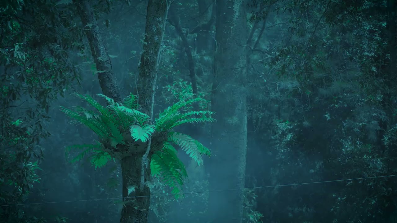 Deep Woods Slumber • Heavy Rain for Total Relaxation