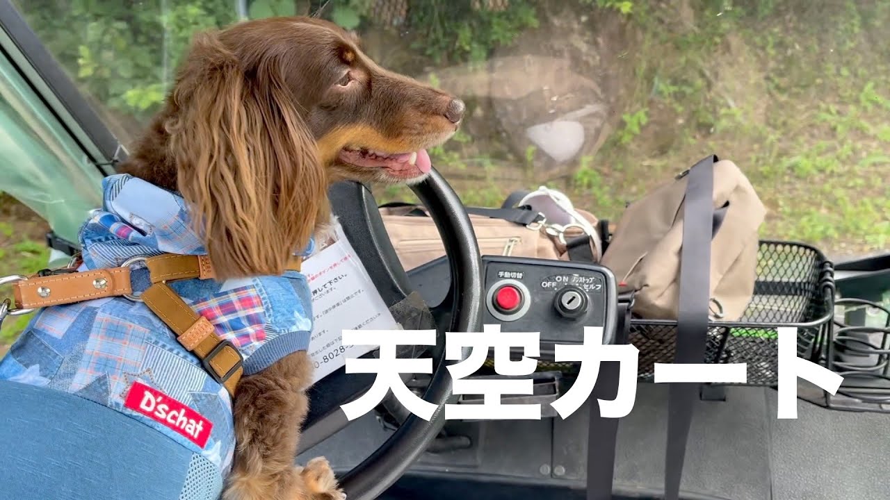 愛犬と天空カートで標高1,420mの雲上の世界へ