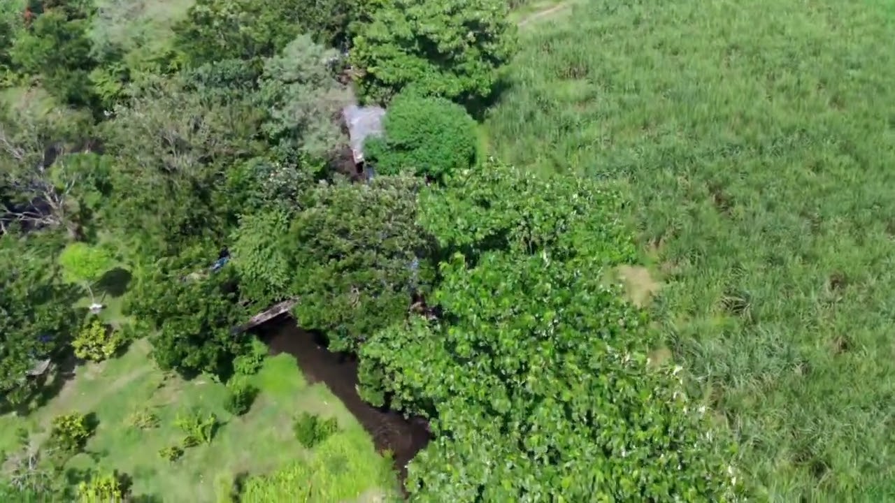 MENJELAJAHI WISATA KALI BENING DARI DRONE.. 