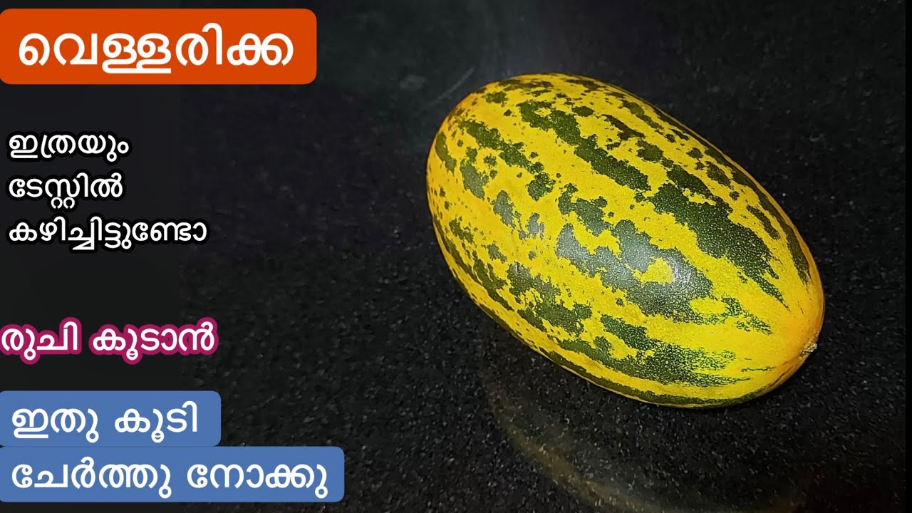 വെള്ളരിക്ക കിട്ടുമ്പോൾ ഇങ്ങനെ ഉണ്ടാക്കി നോക്കൂ//ചോറിനും ചപ്പാത്തിക്കും ഇതുമതി//Vellarikka Recipes