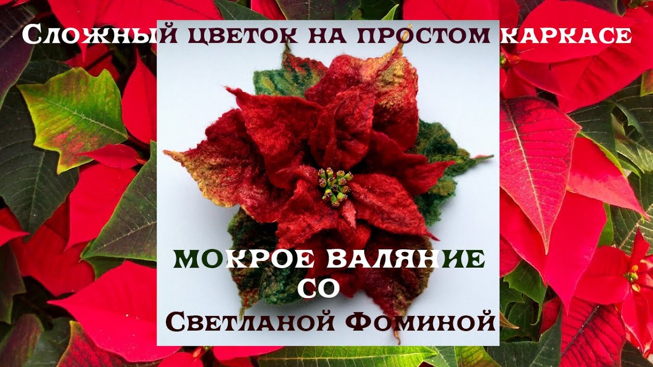 Валяние на простом каркасе. Пуансеттия. Мини мастер-класс.
