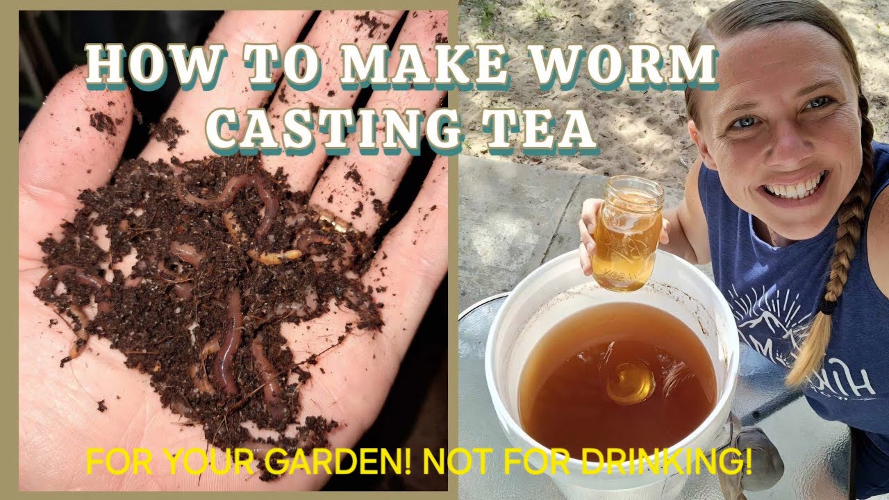 How to make WORM TEA from WORM CASTINGS