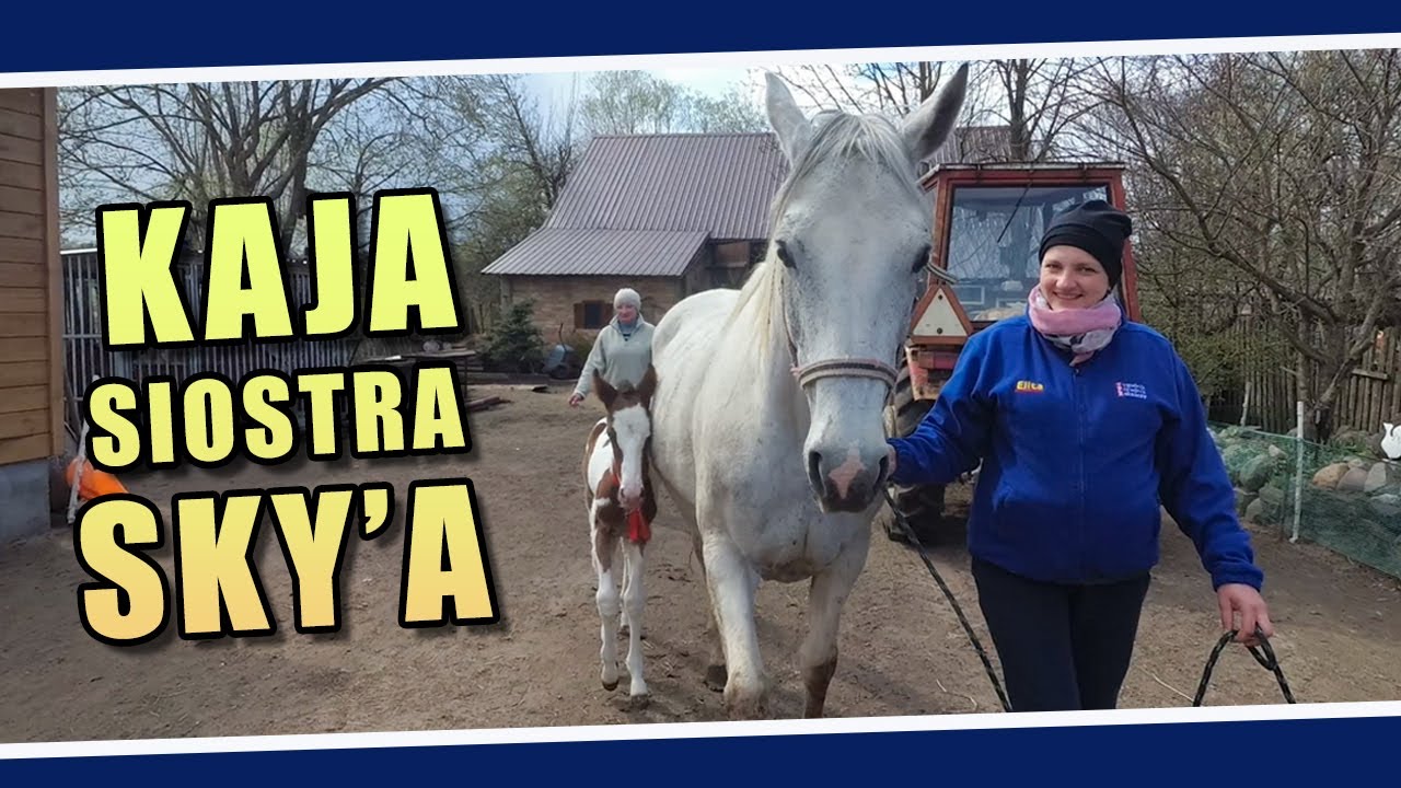 Kaja siostra Sky'a 🐎