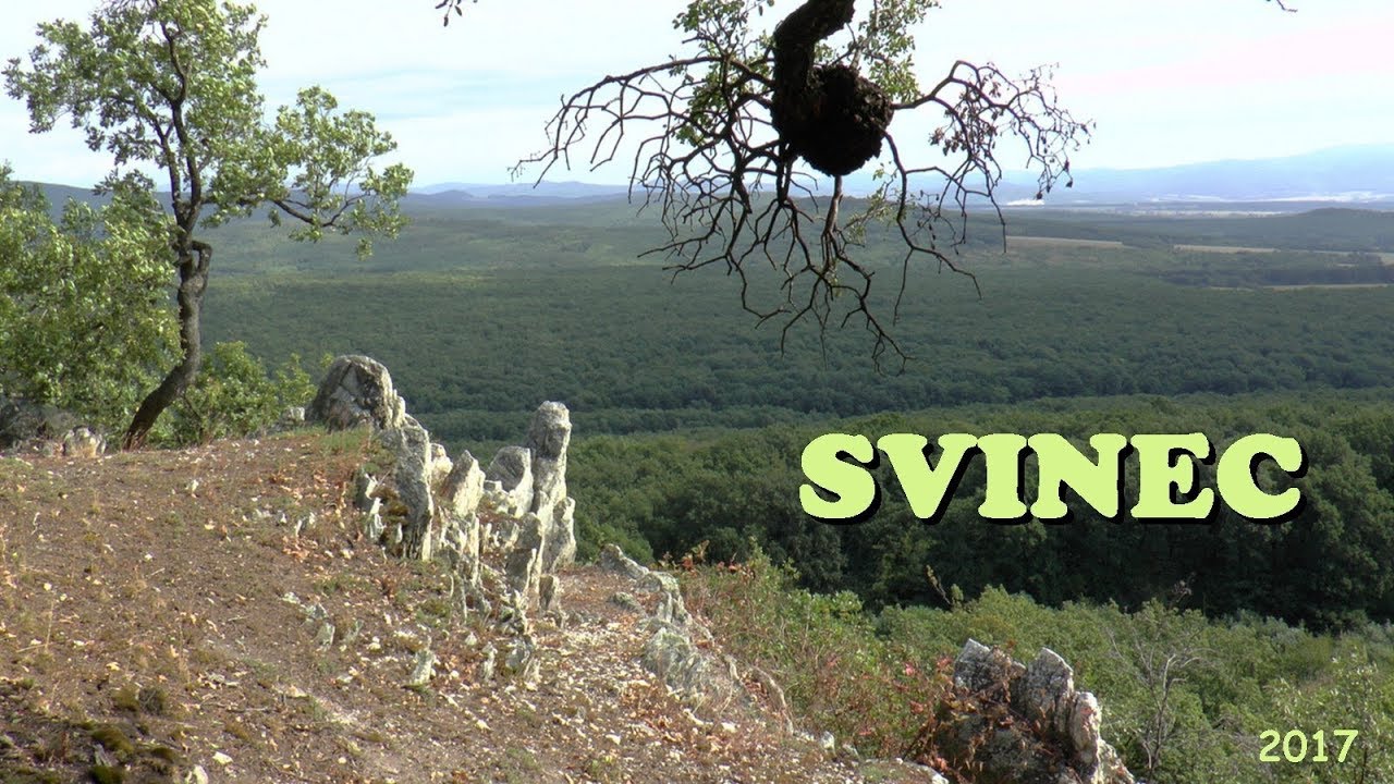 Bludárium - Tribeč (Svinec)